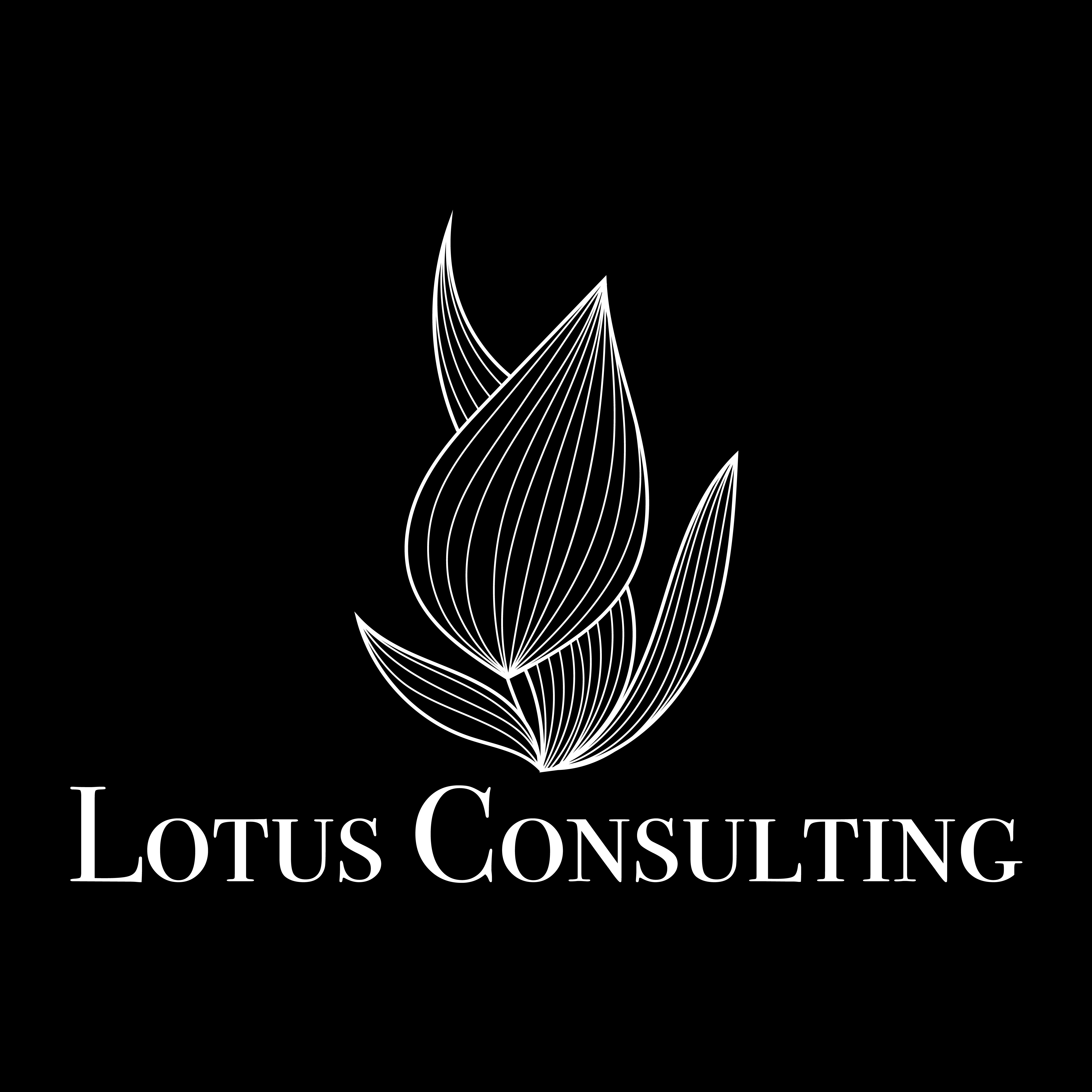 Lotus Consulting | Ở ĐÂY CHÚNG TÔI BÁN KẾT QUẢ