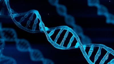 QUỐC TỊCH ÚC vs DNA