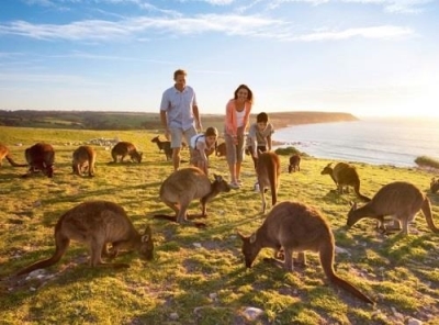 Thăm nhân thân, du lịch